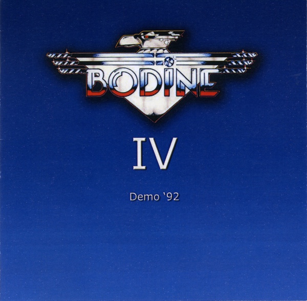 2011 Bodine IV demo front