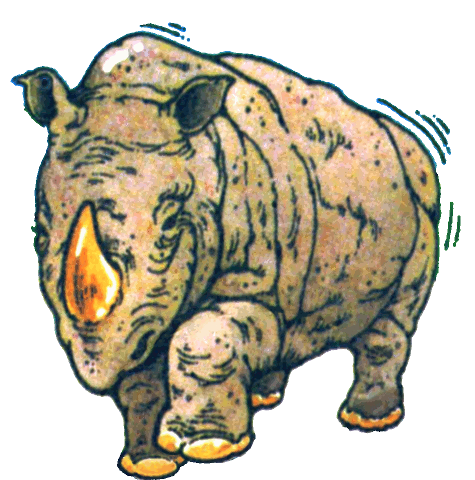 Rhino Rhino