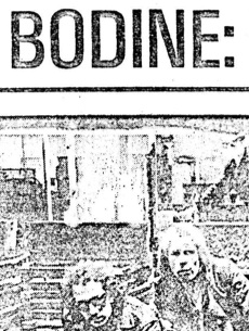 1981-03-12_Vizier_Bodine_article_tn